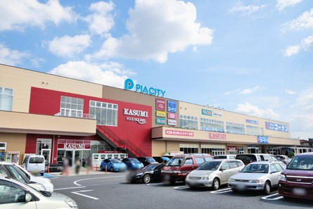ショッピングセンター　カスミフードスクエア柏中新宿店（ショッピングセンター）まで373m