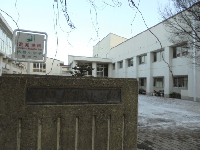 小学校　塩尻市立桔梗小学校（小学校）まで1398m