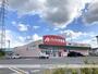 ドラックストア　クスリのアオキ日野店（ドラッグストア）まで277m