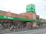 スーパー　サミットストア西小岩店（スーパー）まで220m