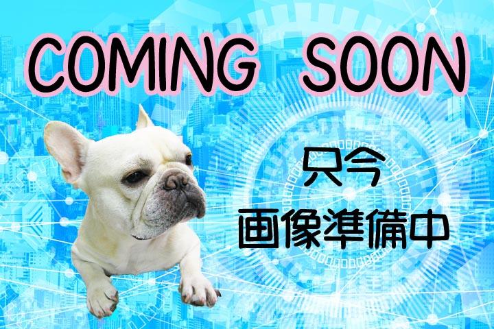 セキュリティ　建設中です。