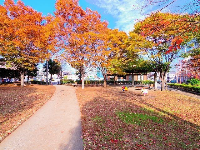 公園　ふじみ野公園（公園）まで540m