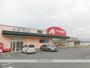 その他　クスリのアオキ南高田店（その他）まで883m