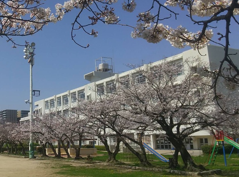 小学校　尼崎市立清和小学校（小学校）まで335m