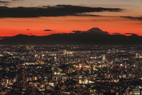 その他　都心空撮 12（その他）まで973m