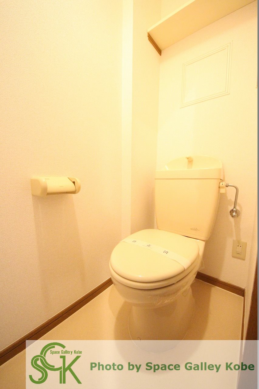 バージンブリッジのトイレ写真