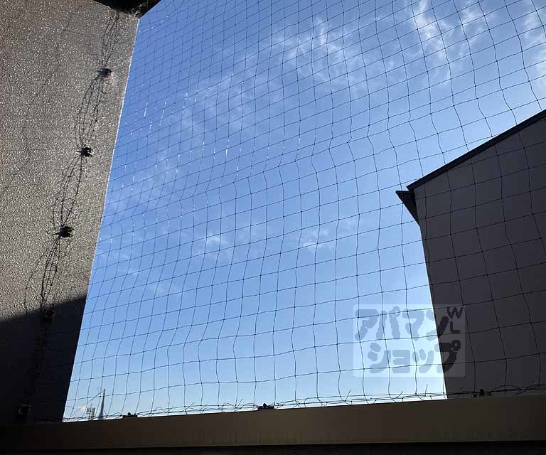 阪急嵐山線 上桂駅 徒歩10分 5階建 築15年のその他写真