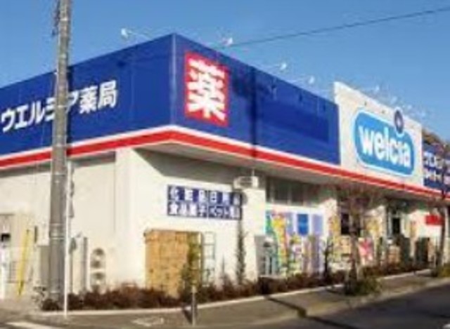 ドラックストア　ウエルシア世田谷砧店（ドラッグストア）まで719m