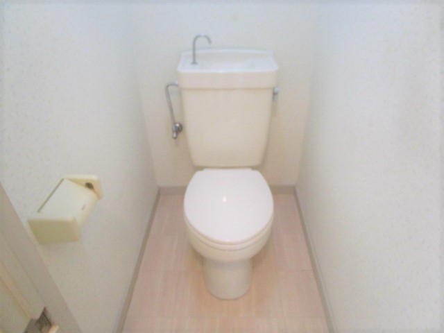 小田急小田原線 相武台前駅 徒歩5分 3階建 築39年のトイレ写真