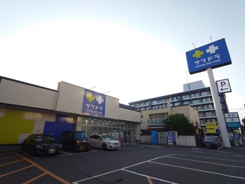 ドラックストア　サツドラ北円山店（ドラッグストア）まで521m