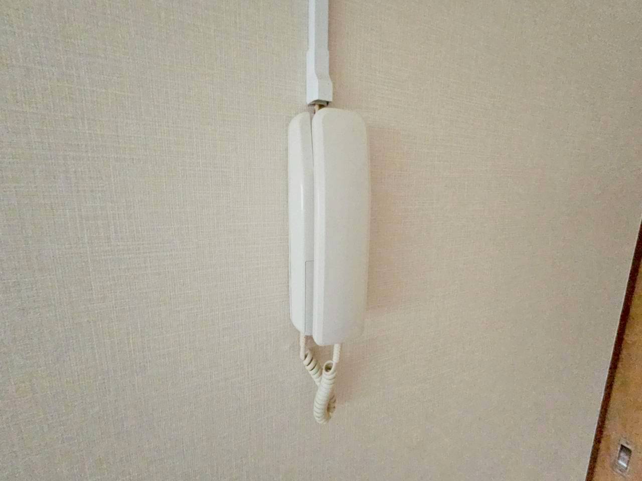 三条三和ハイツのその他写真