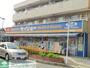 ドラックストア　くすりセイジョー東船橋店（ドラッグストア）まで560m