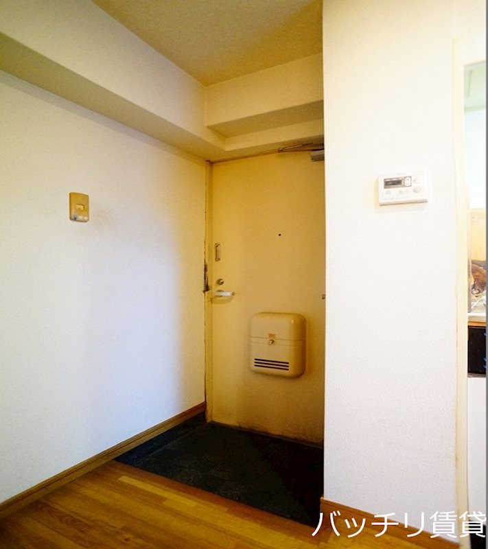 玄関　画像は別号室タイプの為、現状を優先致します。