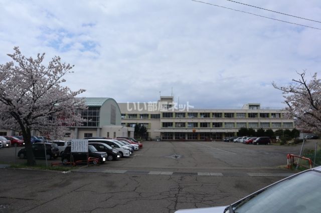 小学校　上越市立柿崎小学校（小学校）まで452m