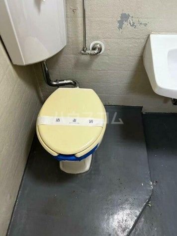 マリーゴールド元町のトイレ写真