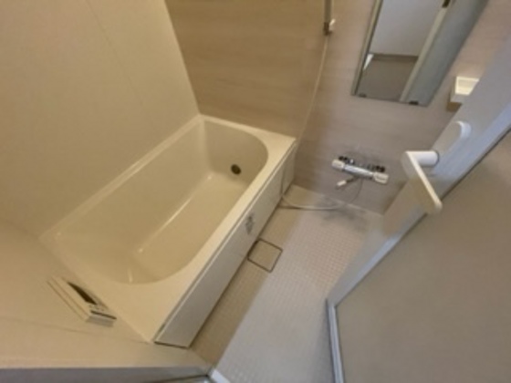 バス・シャワールーム　※別部屋の写真です