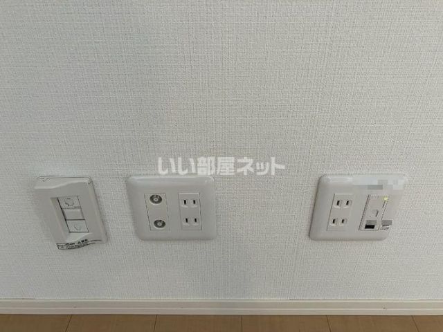Kikumomoのその他写真