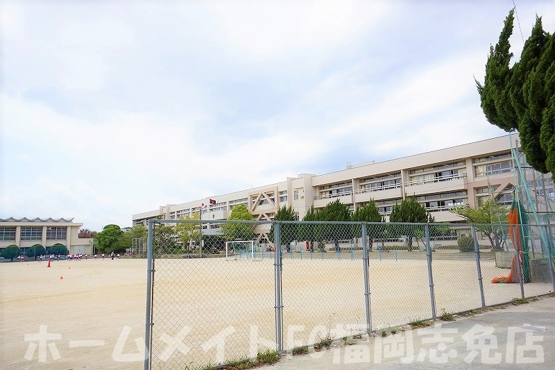 【糟屋郡志免町大字志免のマンションの小学校】