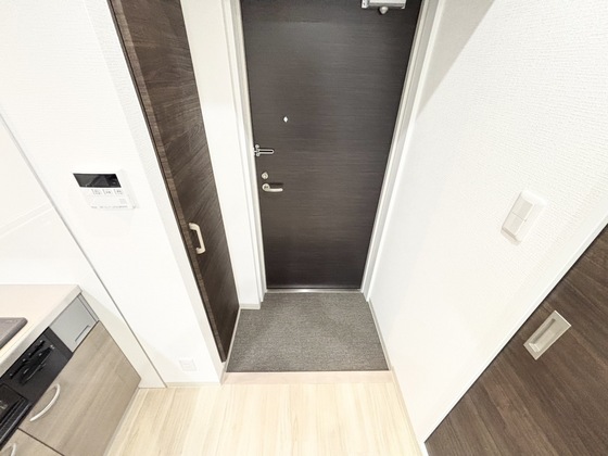 玄関　同仕様タイプ