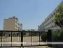 小学校　高槻市立玉川小学校（小学校）まで435m