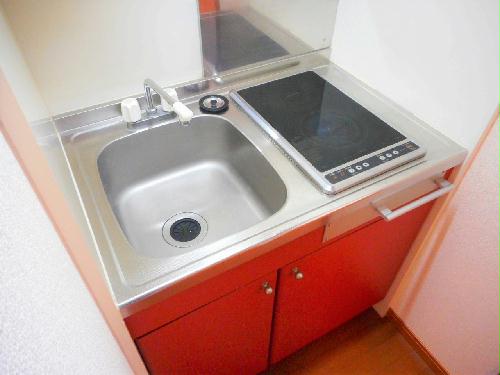 キッチン　2口の電気コンロまたはIHコンロとなります