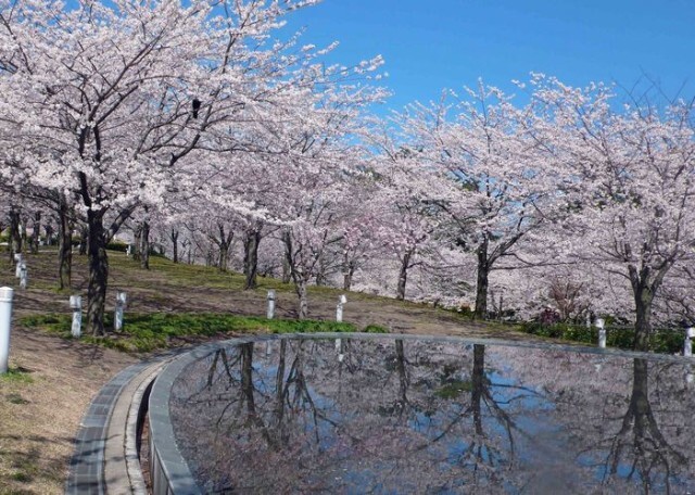 【ガーデンヒルズIIの公園】