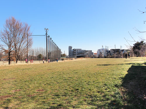 【板橋区蓮沼町のマンションの公園】