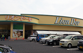 スーパー　リオン・ドール寺尾店（スーパー）まで514m