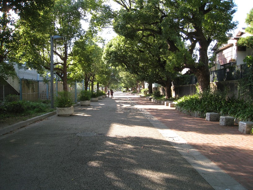 公園　真田山公園（公園）まで827m
