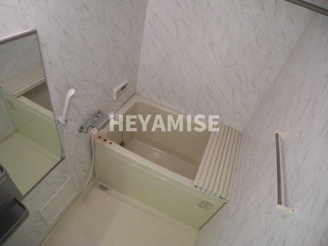 バス・シャワールーム　※同物件の他号室の写真です（類似）