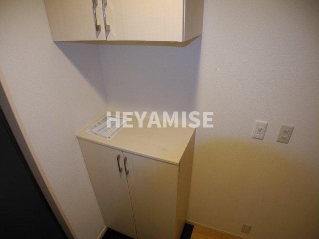 玄関　※同物件の他号室の写真です（類似）