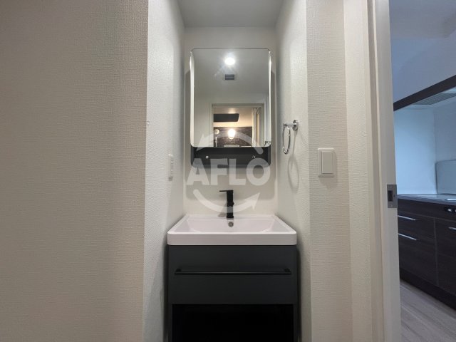 洗面設備　セレニテ日本橋エクラ　独立洗面台