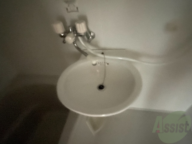 洗面設備　洗面台はバスルームの横に付いていました