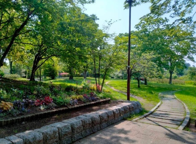 公園　天沼公園（公園）まで348m