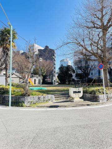 公園　舎人公園（公園）まで264m