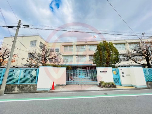 小学校　大阪市立南百済小学校（小学校）まで567m