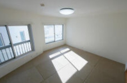 その他　その他