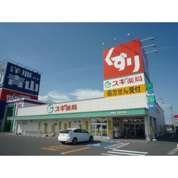 ドラックストア　スギ薬局白塚店（ドラッグストア）まで1219m