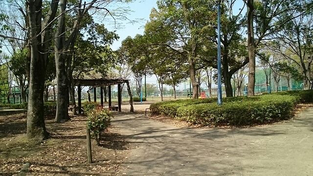 公園　羽生中央公園（公園）まで700m