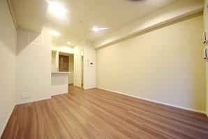 その他部屋・スペース　（別タイプ参考写真）カーサスプレンディット小石川　文京区小石