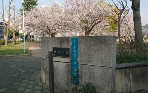 公園　愛染公園（公園）まで175m