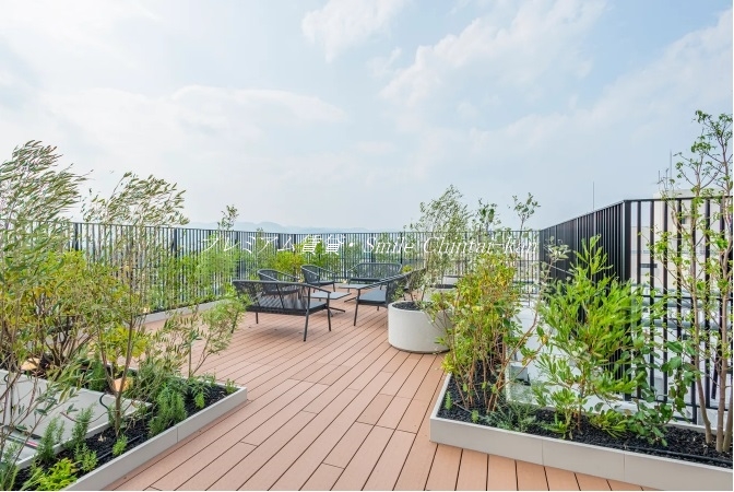 バルコニー　共用の屋上