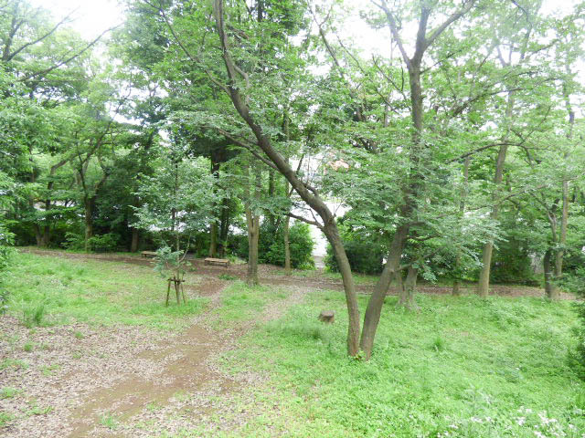 その他　瀬谷中央公園（その他）まで1228m