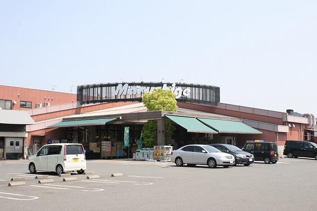 スーパー　サンディ　大和小泉店（スーパー）まで808m