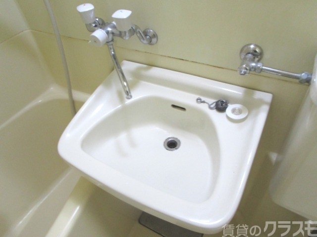 洗面設備　独立タイプではありませんが・・。
