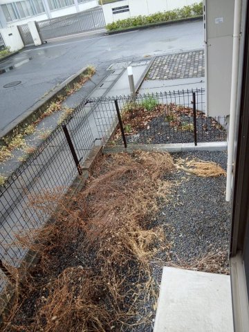 庭　お庭が付いています