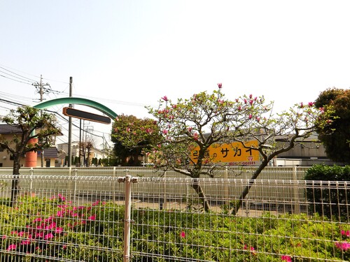 眺望　テラスからの眺望