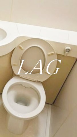 トイレ　トイレです。