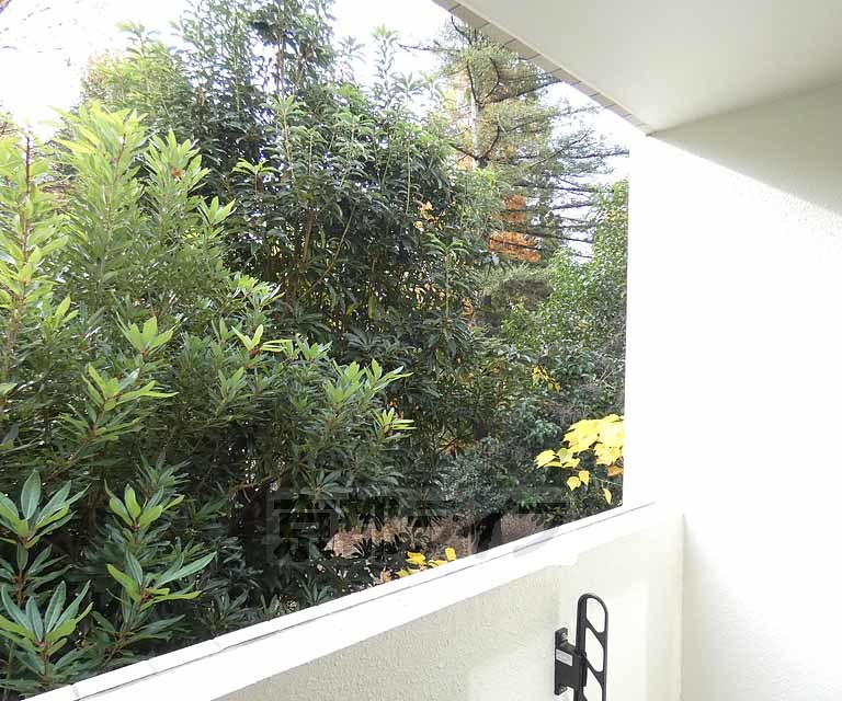 眺望　京大グランド北側のイケてるマンション・