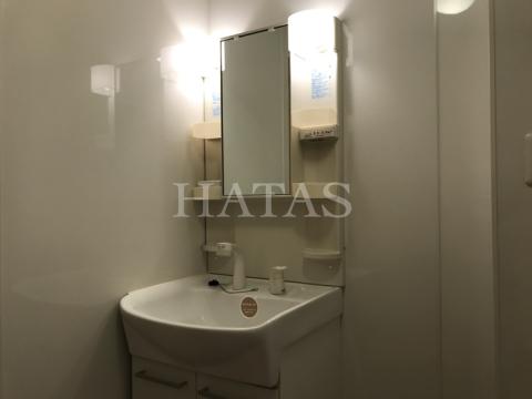 洗面設備　同物件別部屋です。